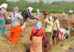 புதிய ஊரக வேலைவாய்ப்பு திட்ட வரைவு அறிக்கை வெளியீடு: பொதுமக்கள் கருத்து தெரிவிக்க அழைப்பு